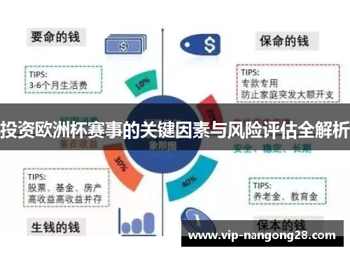 投资欧洲杯赛事的关键因素与风险评估全解析
