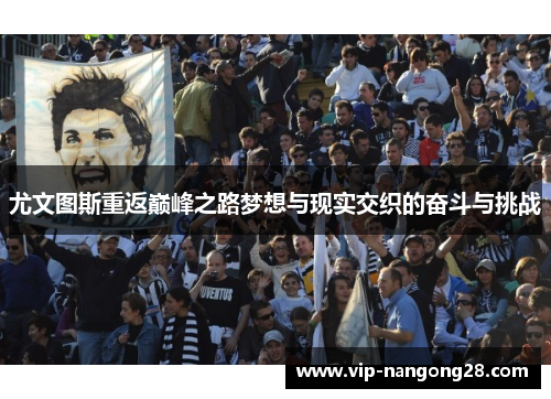尤文图斯重返巅峰之路梦想与现实交织的奋斗与挑战
