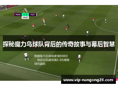 探秘魔力鸟球队背后的传奇故事与幕后智慧