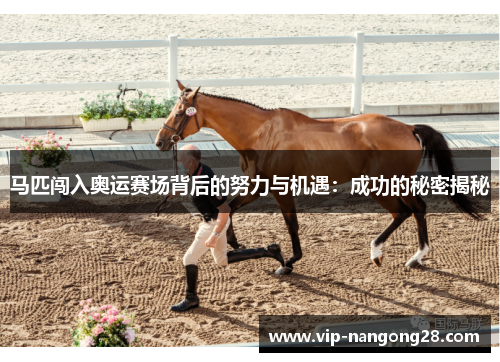 马匹闯入奥运赛场背后的努力与机遇：成功的秘密揭秘
