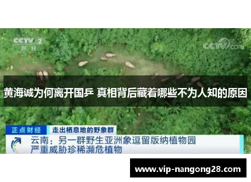 黄海诚为何离开国乒 真相背后藏着哪些不为人知的原因